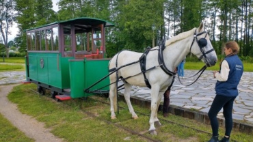 Tramwaj konny