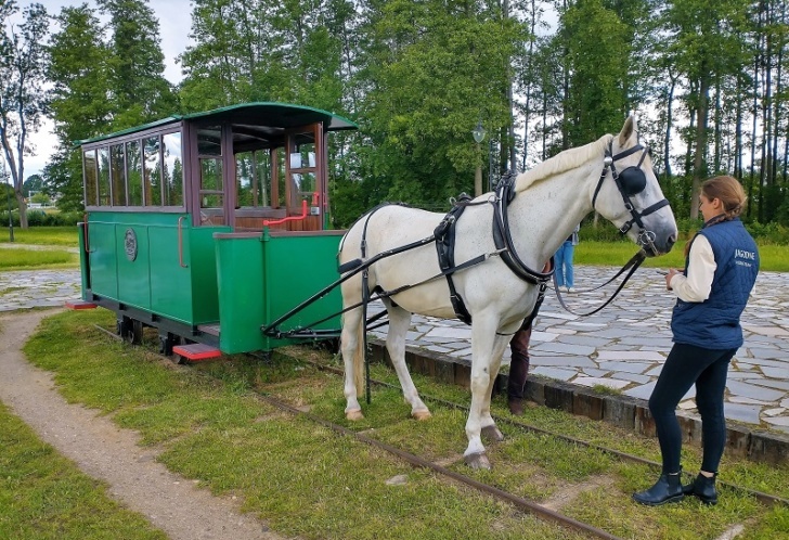 Tramwaj konny